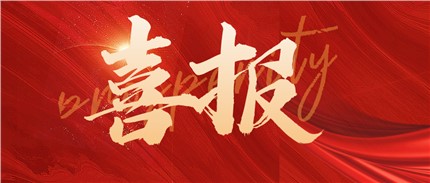 喜報！進(jìn)芯電子入選2022年湖南省專精特新“小巨人”企業(yè)名單！
